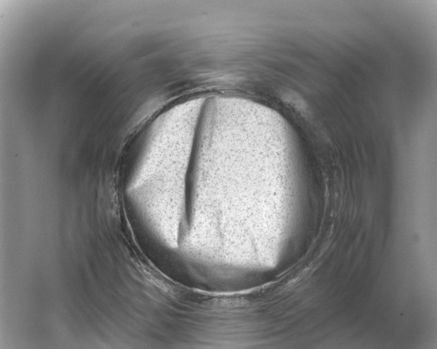 X0000064751354200602241820