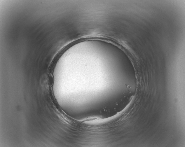 X0000064751356200602241820