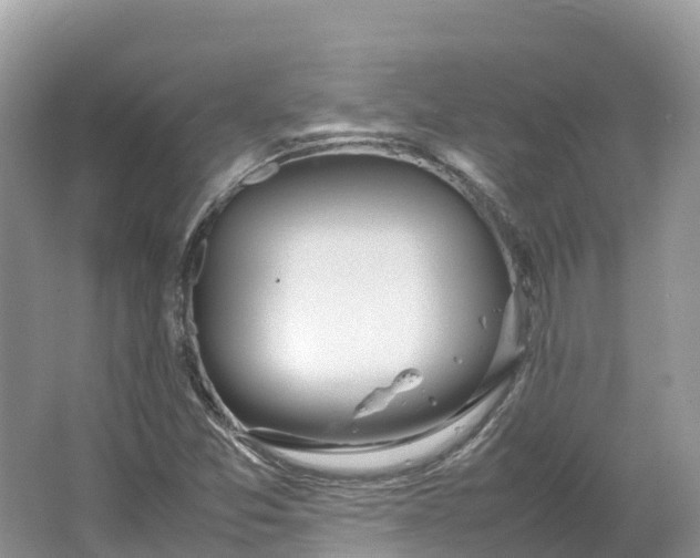 X0000064751357200602241820