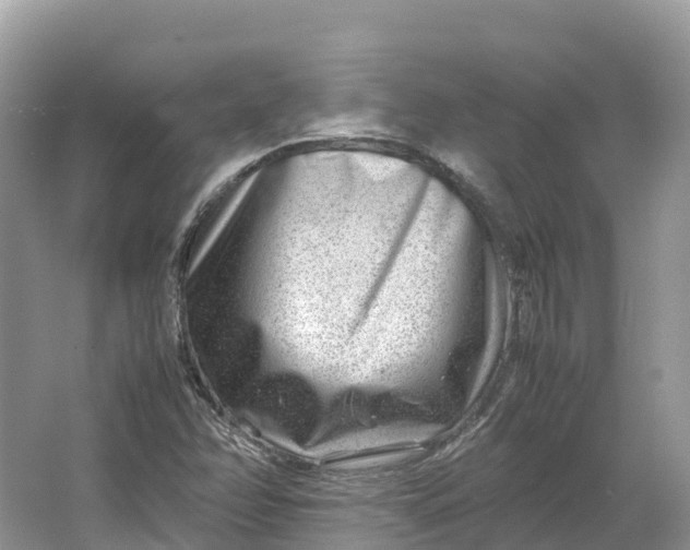 X0000064751358200602241820