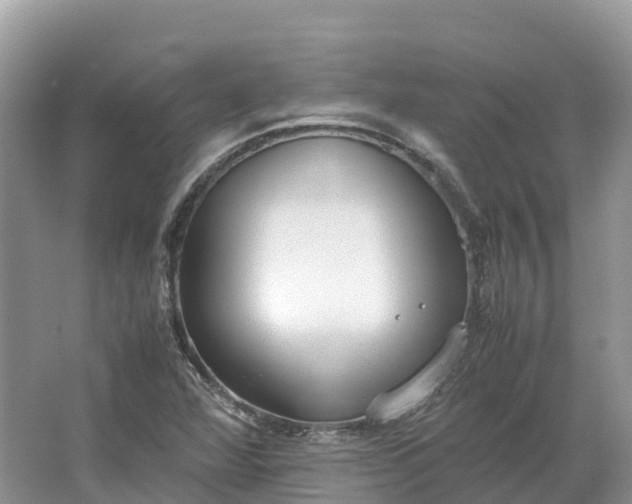 X0000064751360200602241820