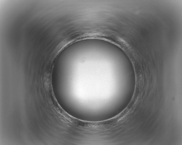 X0000064751361200602241820