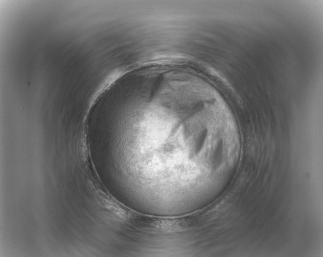 X0000064751362200602241819