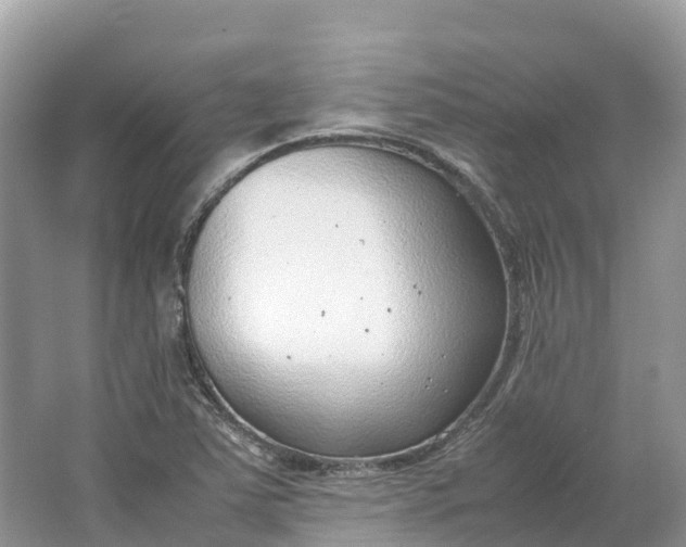 X0000064751363200602241819