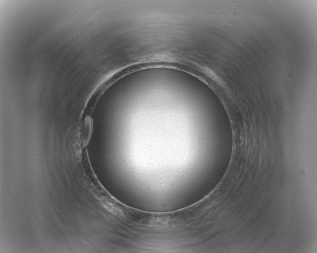 X0000064751364200602241819