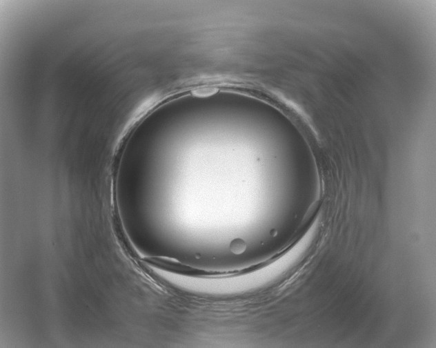 X0000064751365200602241819