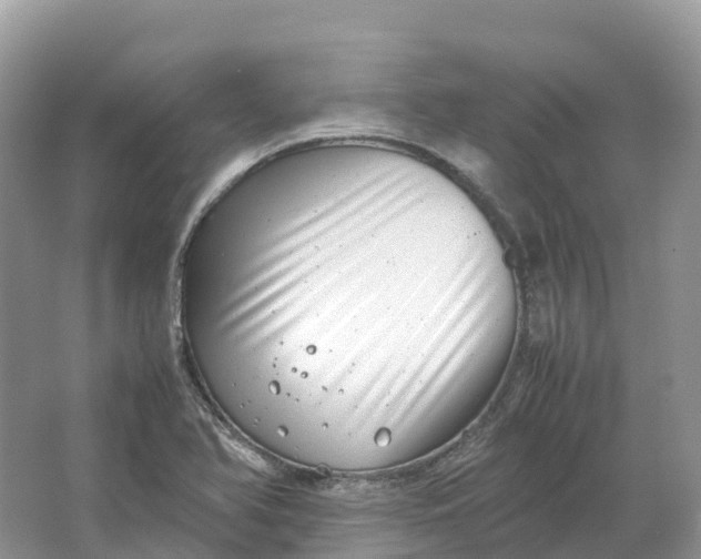 X0000064751366200602241819