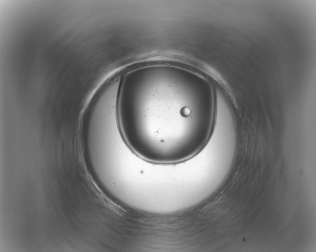 X0000064751368200602241819