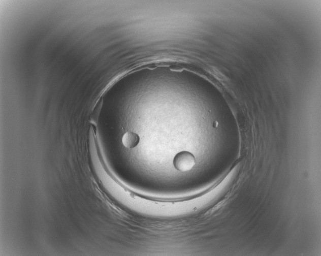 X0000064751369200602241819