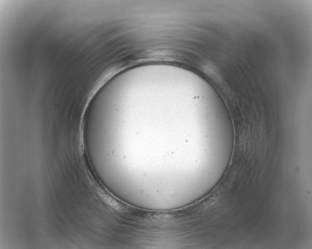 X0000064751370200602241819