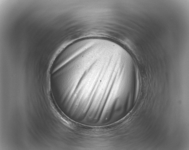 X0000064751371200602241819