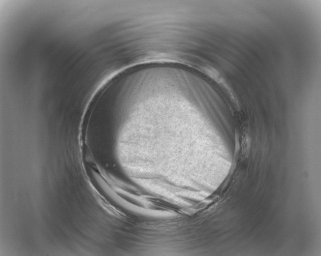 X0000064751372200602241819