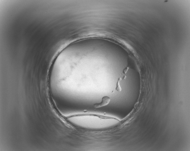 X0000064751373200602241819