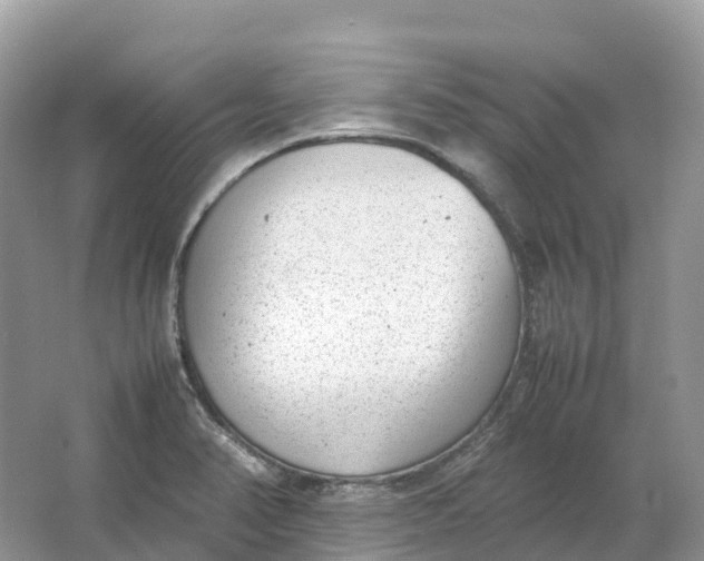 X0000064751374200602241819