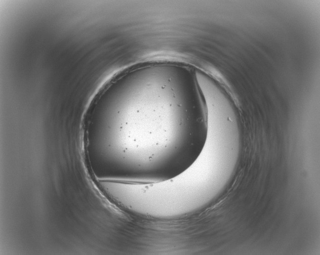 X0000064751376200602241819