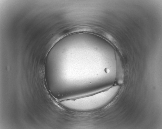 X0000064751377200602241819