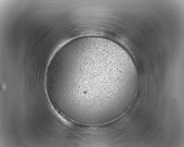 X0000064751379200602241819