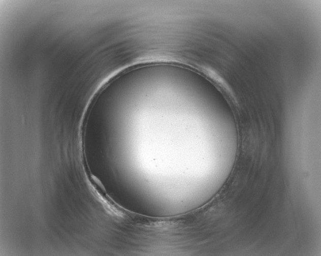 X0000064751380200602241819