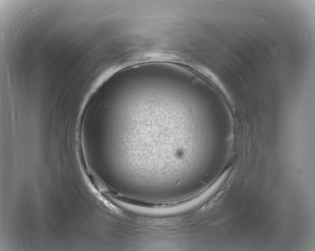 X0000064751381200602241819