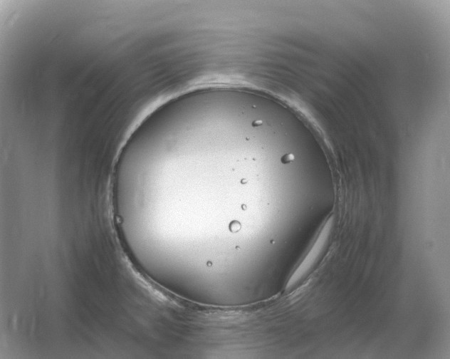 X0000064751382200602241819