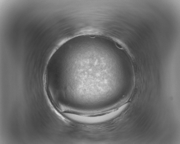 X0000064751383200602241819