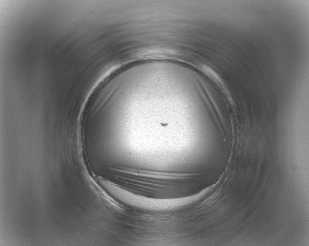 X0000064751384200602241819