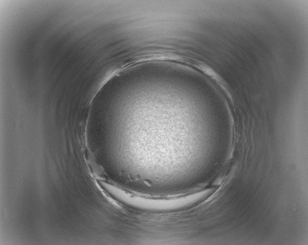 X0000064751385200602241819