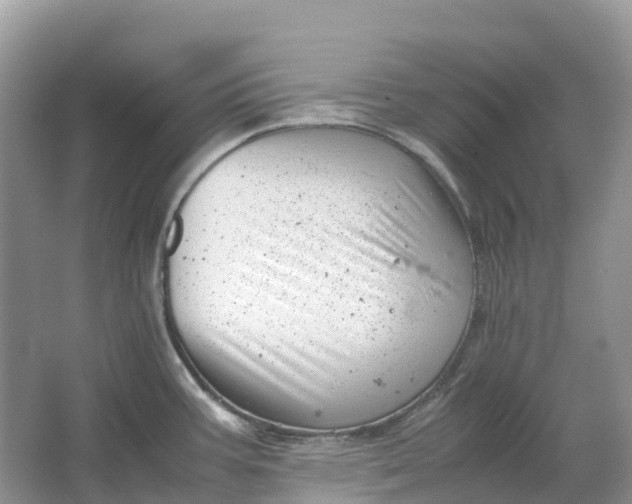 X0000064751387200602241819