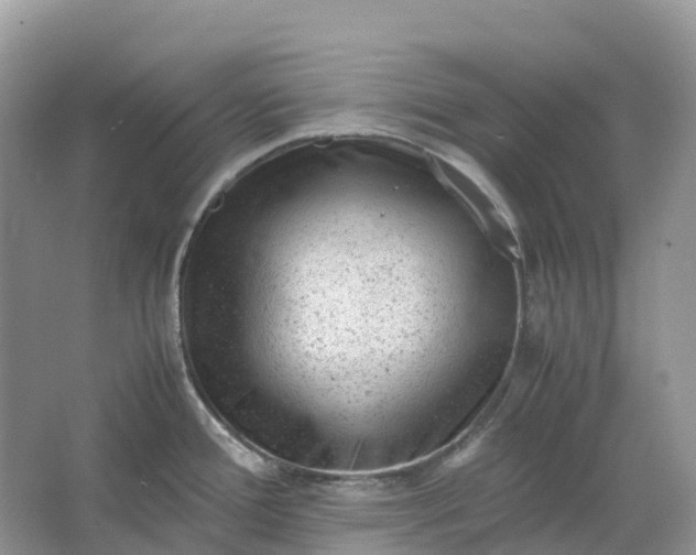 X0000064751388200602241819