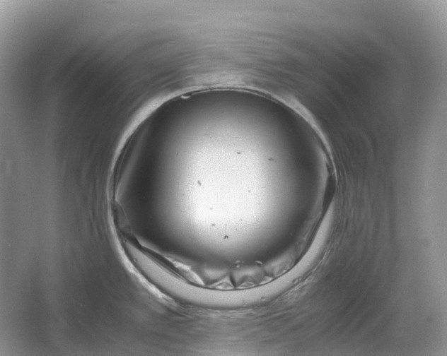 X0000064751389200602241819