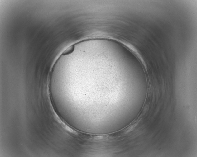 X0000064751390200602241819