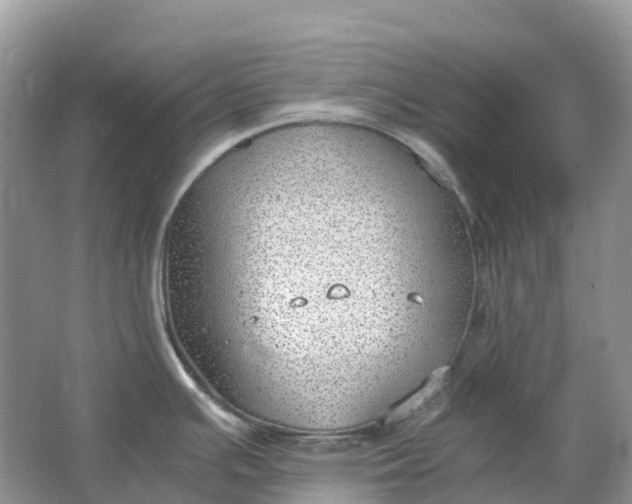 X0000064751391200602241819