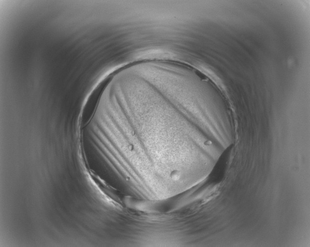 X0000064751392200602241819