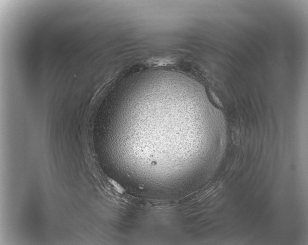 X0000064751393200602241818