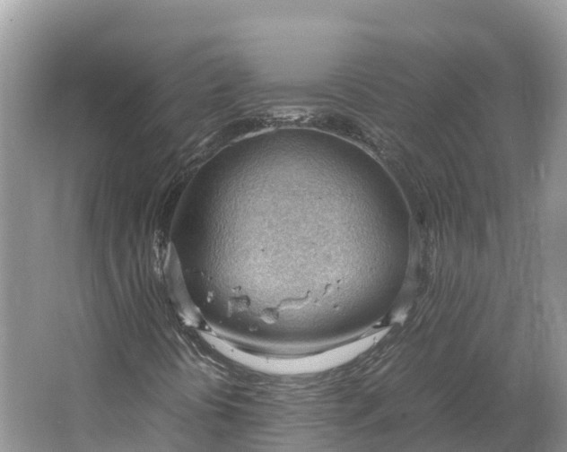 X0000064751394200602241818