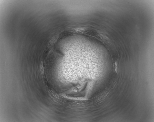 X0000064751395200602241818