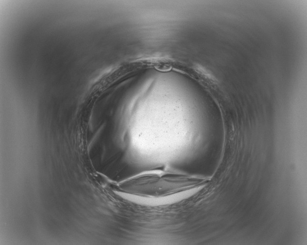 X0000064751398200602241818