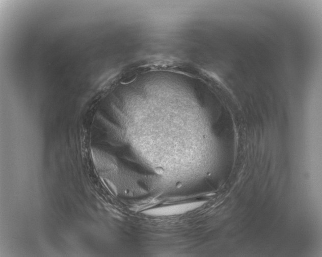 X0000064751399200602241818