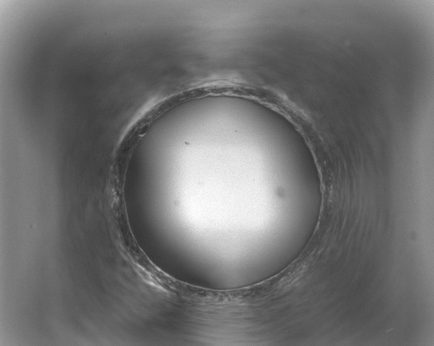 X0000064751400200602241818