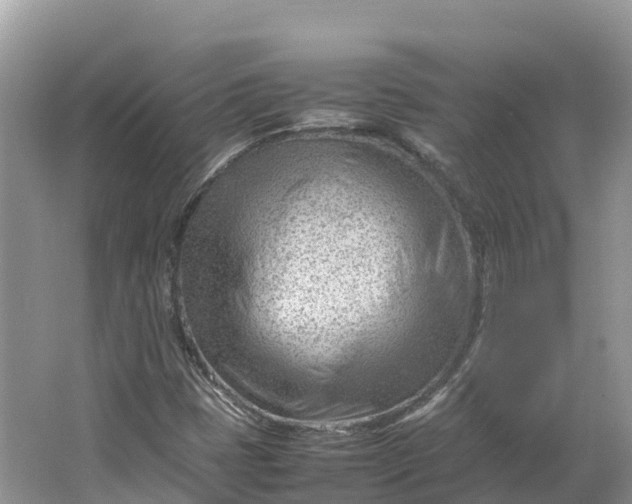 X0000064751401200602241818