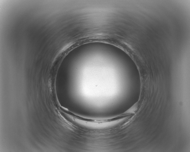 X0000064751402200602241818