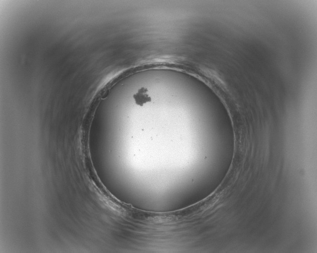 X0000064751404200602241818