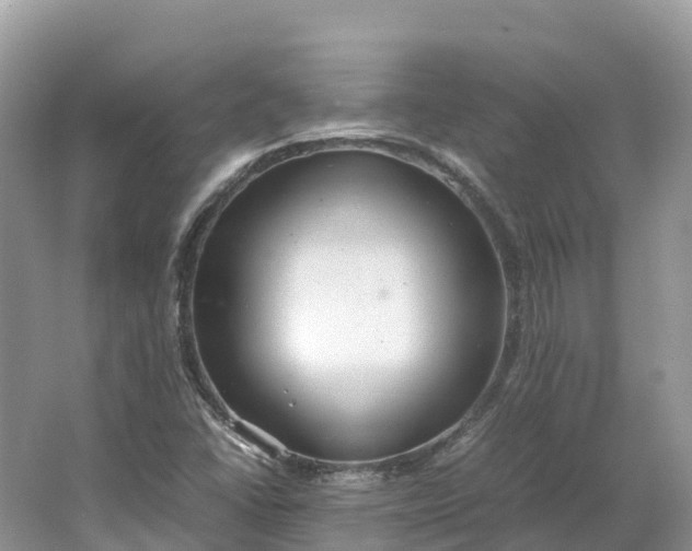 X0000064751406200602241818