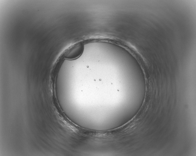 X0000064751408200602241818