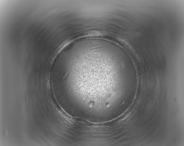 X0000064751409200602241818