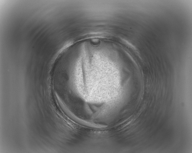 X0000064751411200602241818