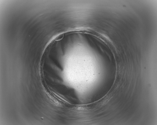 X0000064751412200602241818