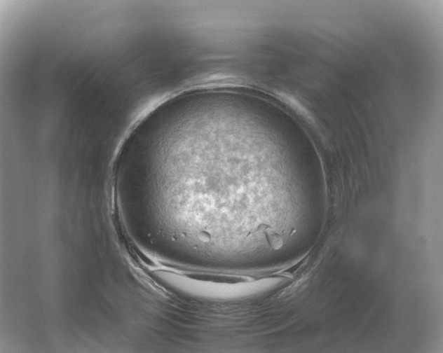 X0000064751413200602241818