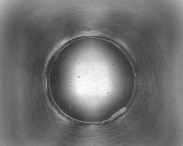 X0000064751414200602241818