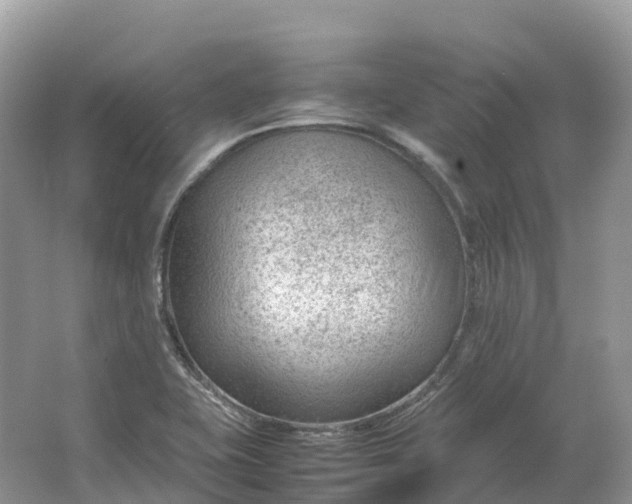 X0000064751415200602241818